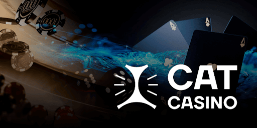 Cat Casino зеркало